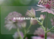 真钱德信德州扑克app下载