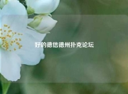 好的德信德州扑克论坛