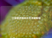 口袋德信德州扑克求破解版
