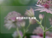 德信德州扑克 明星