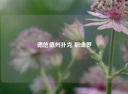 德信德州扑克 职业罗