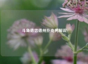 斗鱼德信德州扑克男解说