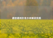 德信德州扑克小米解说优酷