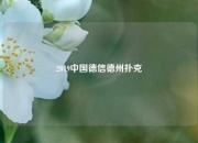 2019中国德信德州扑克