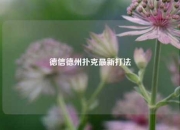 德信德州扑克最新打法