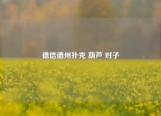 德信德州扑克 葫芦 对子