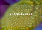 微信德信德州扑克积分兑换