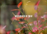 德信德州扑克 教学