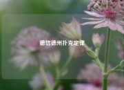 德信德州扑克定律
