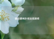 德信德州扑克玩钱游戏