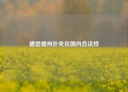 德信德州扑克在国内合法性