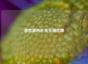 德信德州扑克充值代理