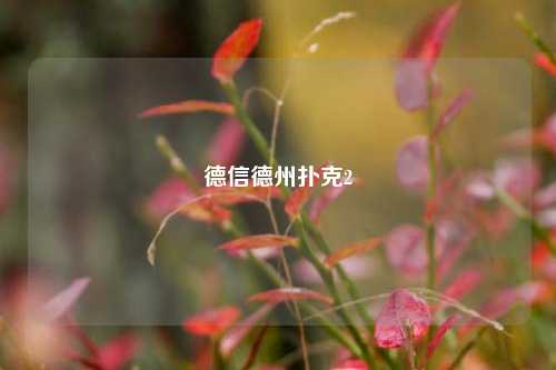 德信德州扑克2