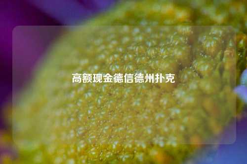 高额现金德信德州扑克