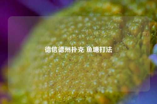 德信德州扑克 鱼塘打法
