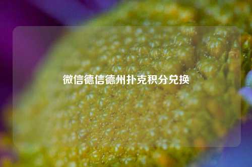 微信德信德州扑克积分兑换