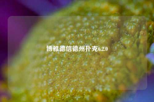 博雅德信德州扑克6.2.0