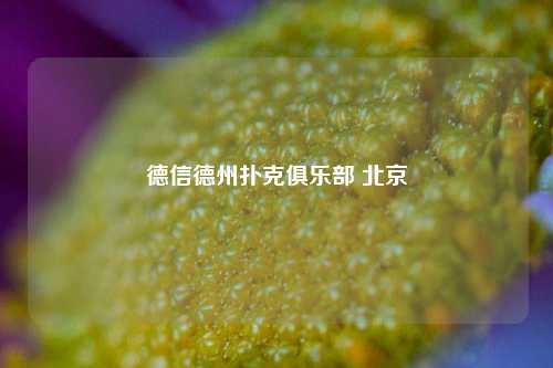 德信德州扑克俱乐部 北京