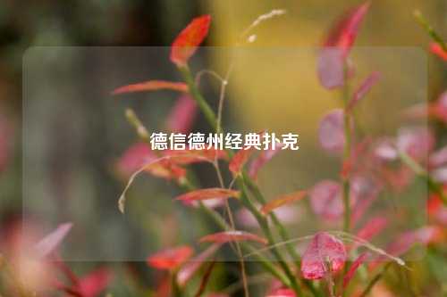德信德州经典扑克