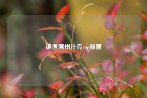德信德州扑克sng涨盲