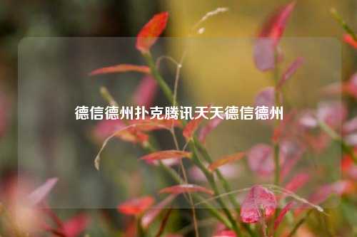 德信德州扑克腾讯天天德信德州