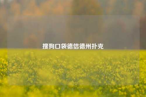 搜狗口袋德信德州扑克