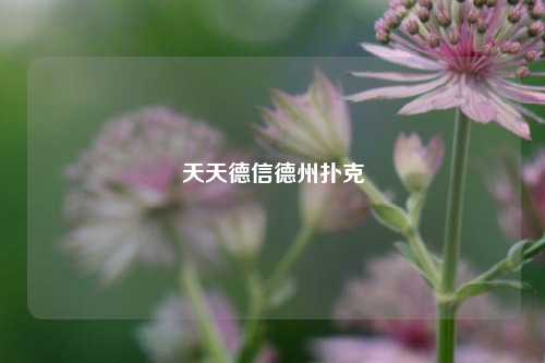 天天德信德州扑克