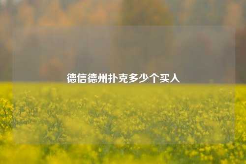 德信德州扑克多少个买入