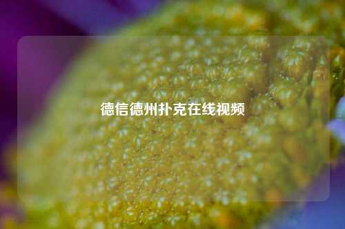 德信德州扑克在线视频