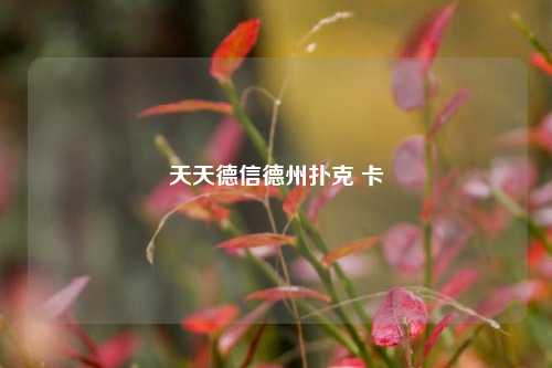 天天德信德州扑克 卡