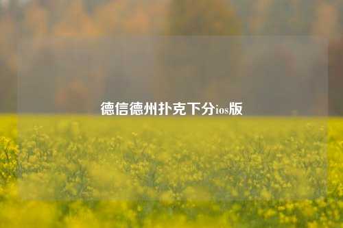 德信德州扑克下分ios版