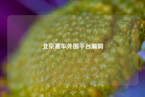 北京赛车外围平台漏洞