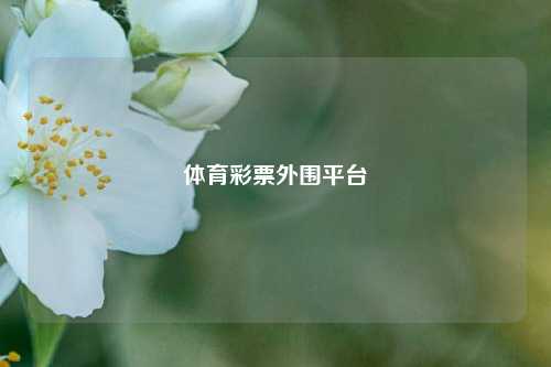 体育彩票外围平台