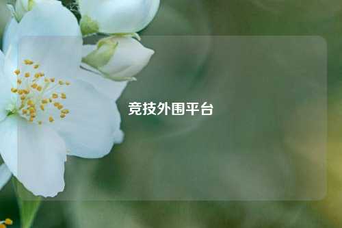 竞技外围平台