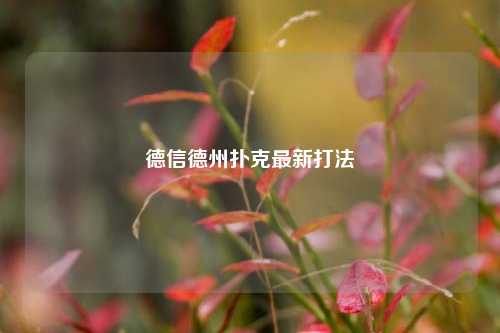 德信德州扑克最新打法
