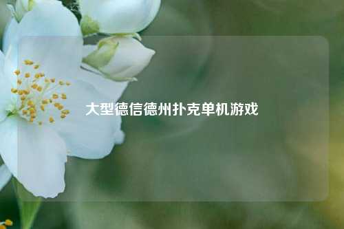 大型德信德州扑克单机游戏