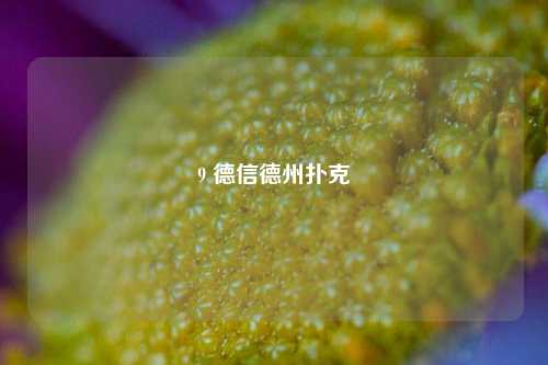 9 德信德州扑克