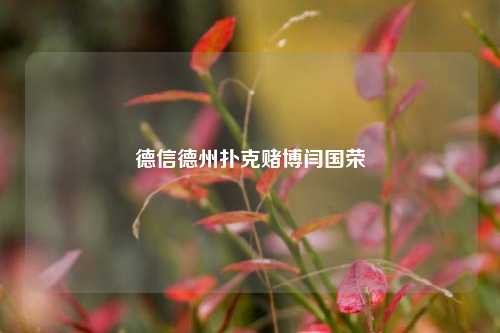德信德州扑克赌博闫国荣