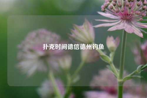 扑克时间德信德州钓鱼