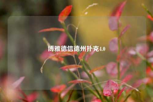 博雅德信德州扑克4.0