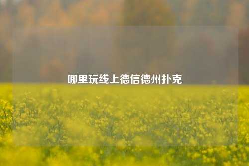 哪里玩线上德信德州扑克