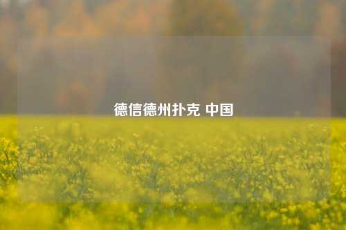 德信德州扑克 中国