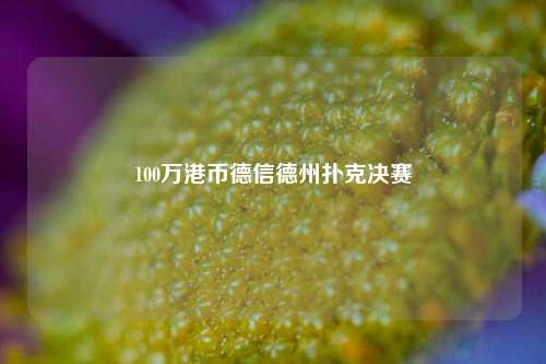 100万港币德信德州扑克决赛