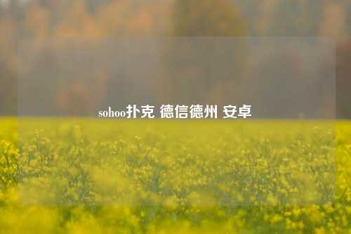 sohoo扑克 德信德州 安卓